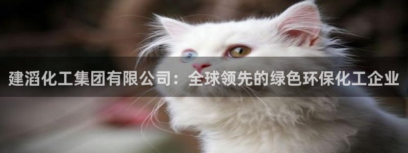球盟会里面有打牌的嘛：建滔化工集团有限公司：全球领先的绿色环