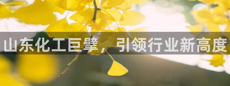 球盟会qm：山东化工巨擘，引领行业新高度