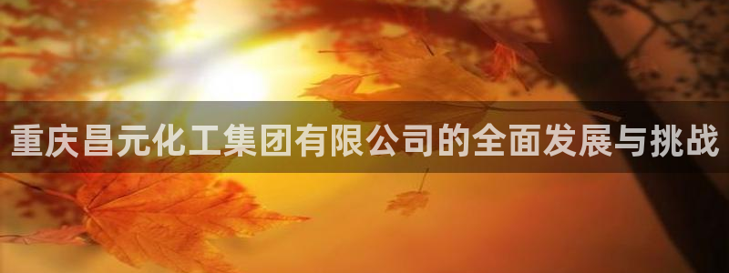 球盟会吧
