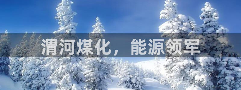 球盟会娱乐平台：渭河煤化，能源领军