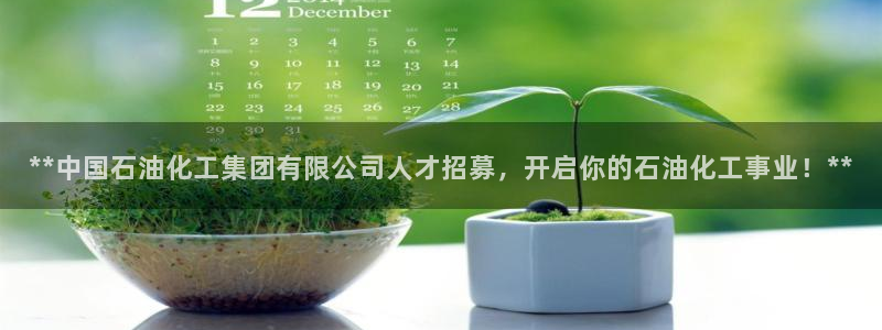 球盟会头号玩家是谁