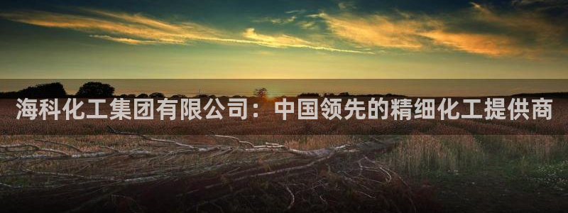 球盟会官网：海科化工集团有限公司：中国领先的精细化工提供商