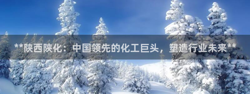 球盟会官方网页登录：**陕西陕化：中国领先的化工巨头，塑造行