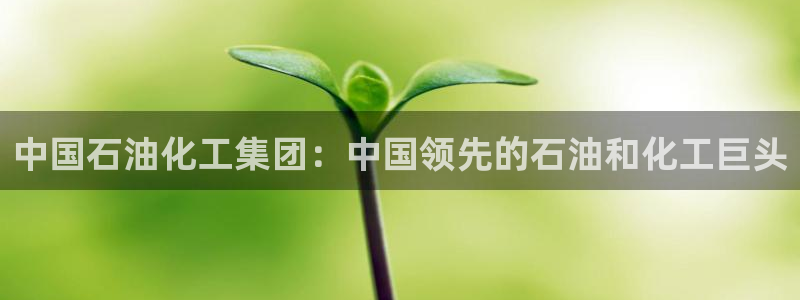 球盟会有没有黑单的：中国石油化工集团：中国领先的石油和化工巨