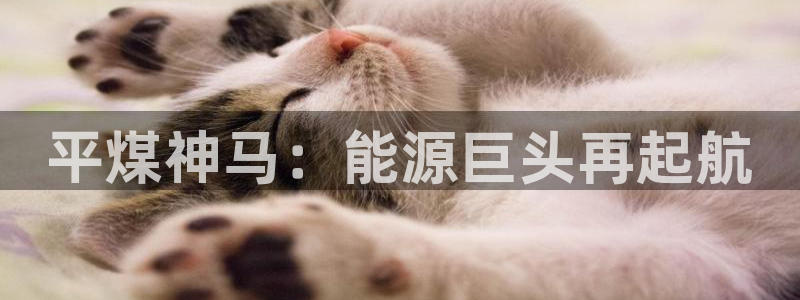 球盟会中国官方网站：平煤神马：能源巨头再起航