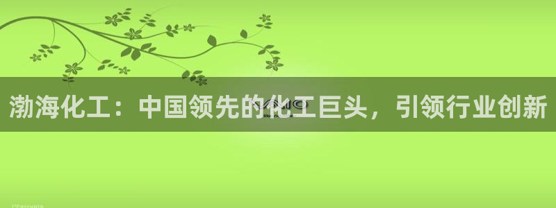 球盟会手机网页版：渤海化工：中国领先的化工巨头，引领行业创新