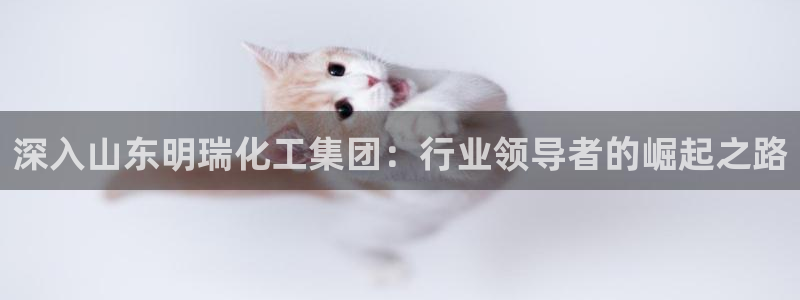 球盟会进不去球员吗