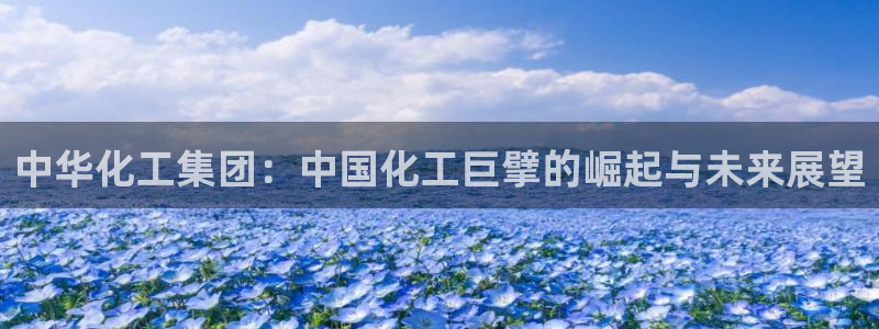 球盟会下载最新版