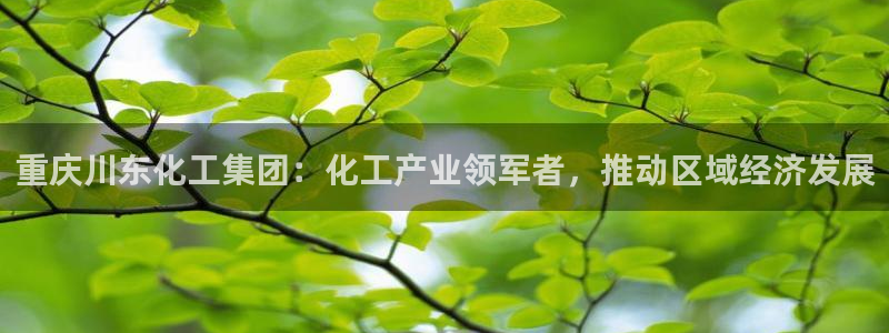 球盟会乐虎