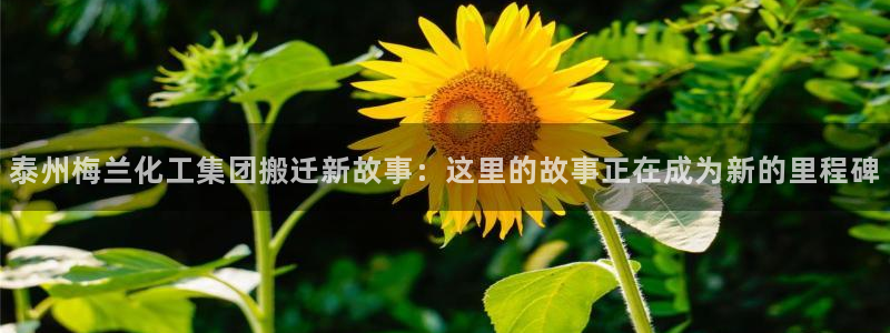 球盟会有没有黑单的人