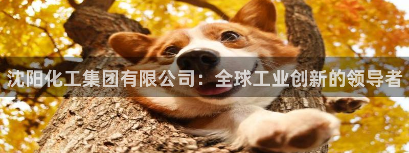 球盟会最新网：沈阳化工集团有限公司：全球工业创新的领导者