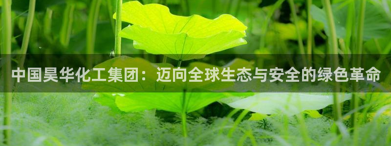 球盟会娱乐平台：中国昊华化工集团：迈向全球生态与安全的绿色革