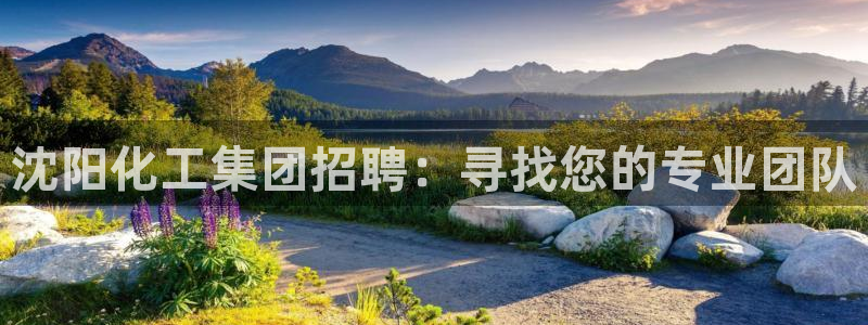 球盟会里面有打牌的嘛