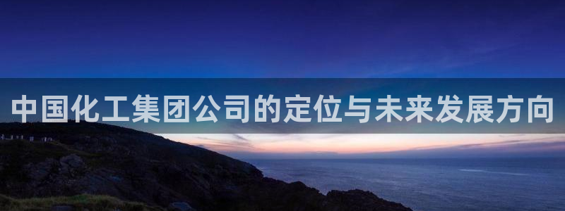 球盟会综合体育平台怎么样：中国化工集团公司的定位与未来发展方