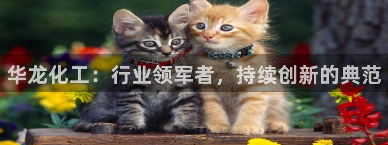 球盟会网页登录入口：华龙化工：行业领军者