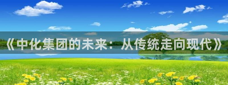 球盟会综合体育平台怎么样：《中化集团的未