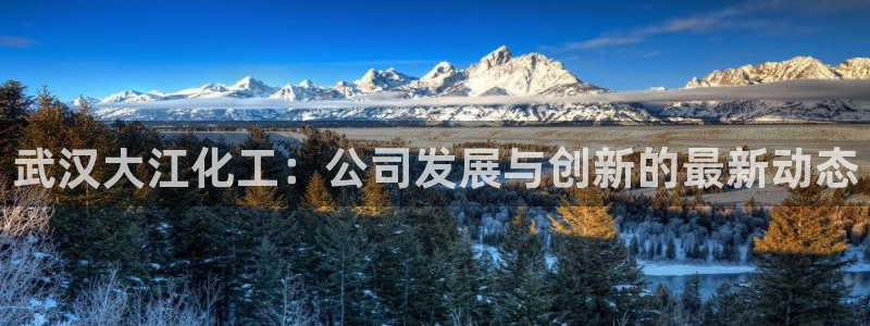 球盟会最新活动：武汉大江化工：公司发展与