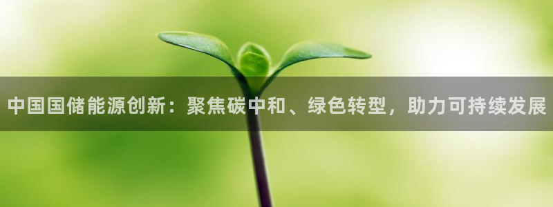 球盟会论坛：中国国储能源创新：聚焦碳中和、绿色转型，助力可持