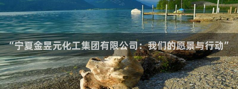 球盟会优惠领取网站是真的吗：“宁夏金昱元化工集团有限公司：我