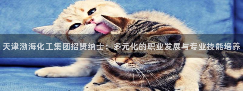 球盟会有没有黑单的：天津渤海化工集团招贤纳士：多元化的职业发