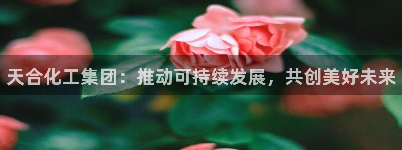 球盟会有没有黑单的