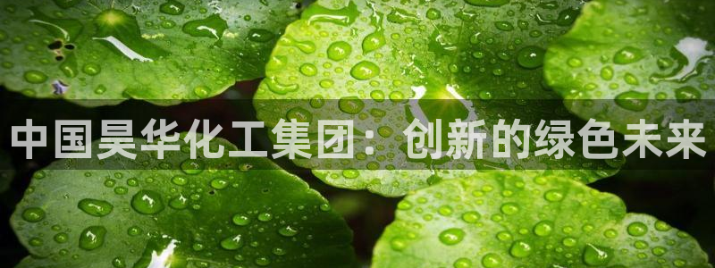 球盟会体验金