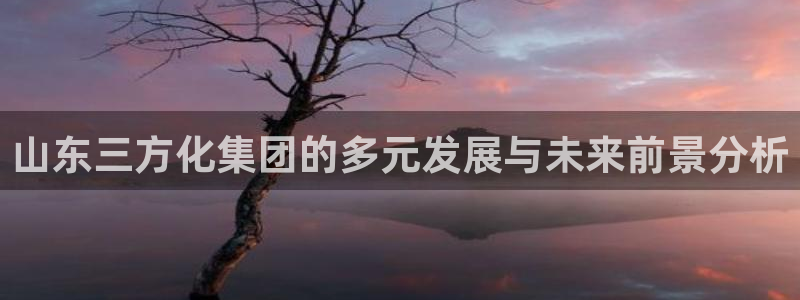 千亿球盟会：山东三方化集团的多元发展与未来前景分析