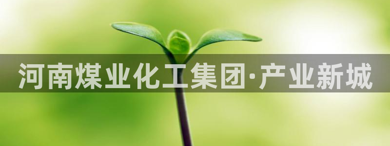 球盟会黑网