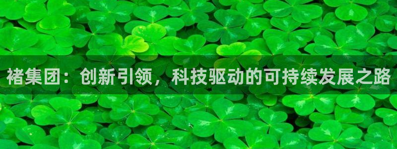 球盟会体育app官方网站：褚集团：创新引领，科技驱动的可持续