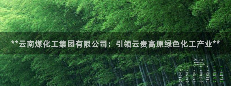 球盟会APP最新地址：**云南煤化工集团有限公司：引领云贵高