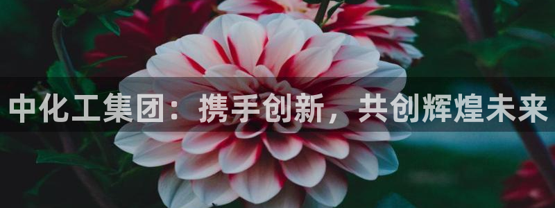 球盟会体育app官方网站：中化工集团：携手创新，共创辉煌未来
