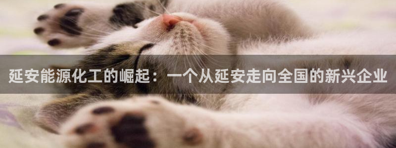 球盟会进不去球员吗：延安能源化工的崛起：一个从延安走向全国的