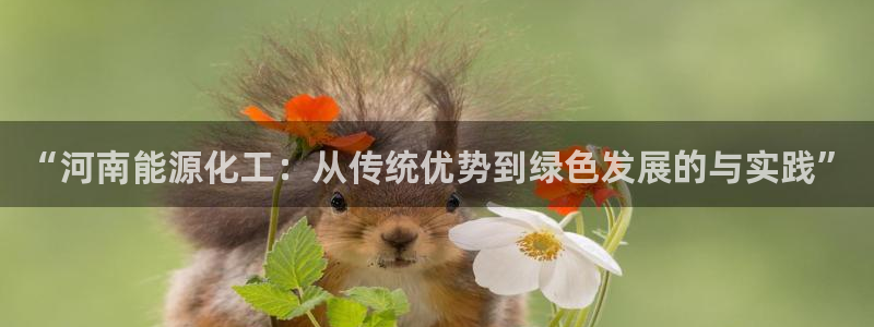 球盟会电子游戏平台：“河南能源化工：从传统优势到绿色发展的与