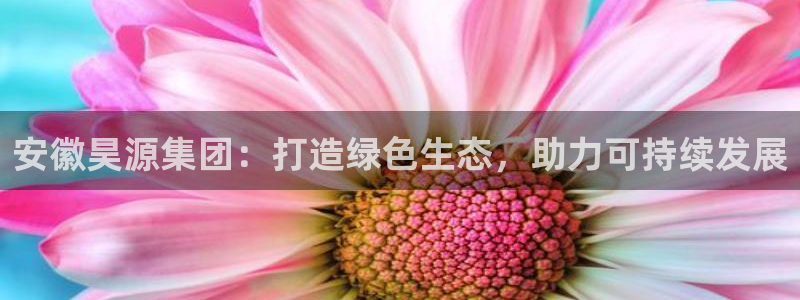 球盟会黑钱：安徽昊源集团：打造绿色生态，助力可持续发展