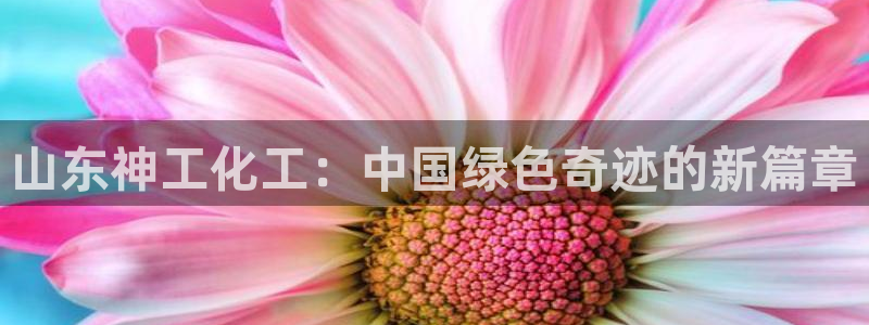 球盟会电子好下吗：山东神工化工：中国绿色奇迹的新篇章