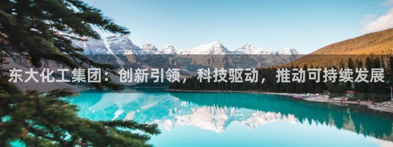 球盟会平台会黑单吗：东大化工集团：创新引领，科技驱动，推动可