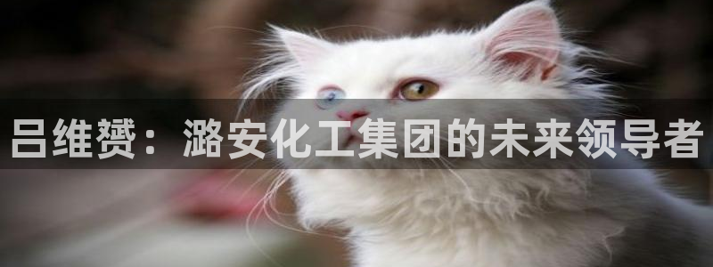球盟会qmh网址：吕维赟：潞安化工集团的未来领导者