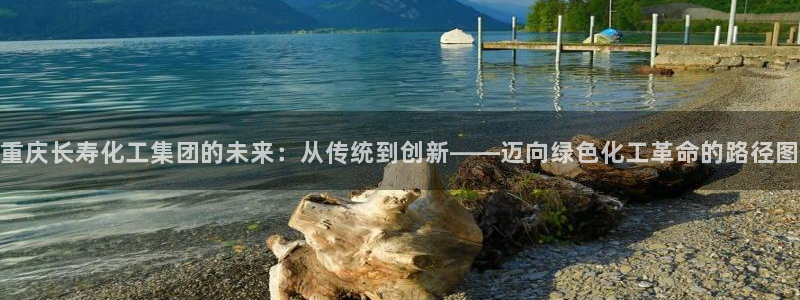 球盟会登陆中心：重庆长寿化工集团的未来：