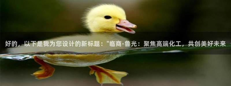 球盟会登录平台：好的，以下是我为您设计的