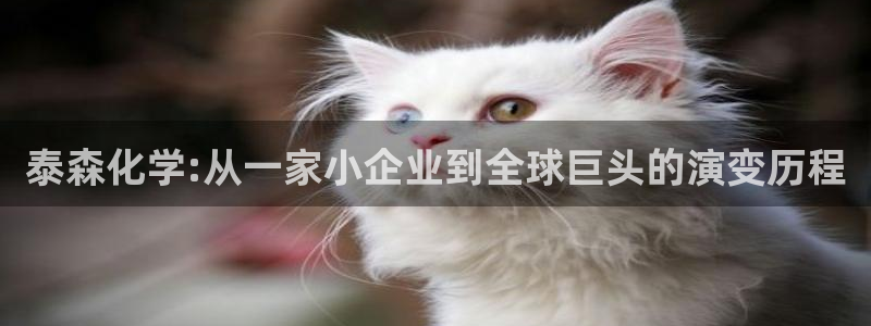 球盟会乐虎：泰森化学:从一家小企业到全球
