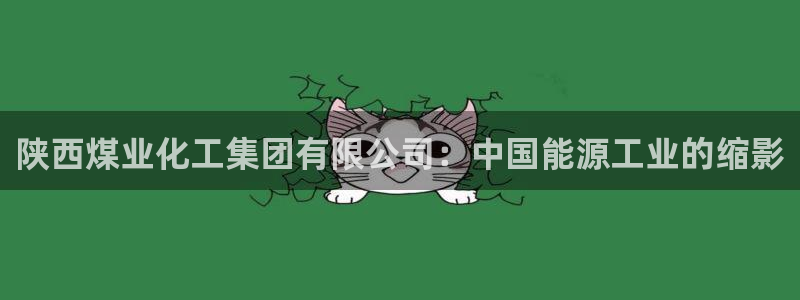 球盟会里面有打牌的嘛知乎：陕西煤业化工集