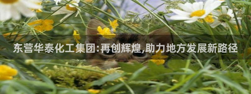 球盟会登陆中心：东营华泰化工集团:再创辉煌,助力地方发展新路