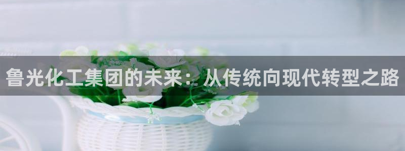 球盟会(中国)官方网站