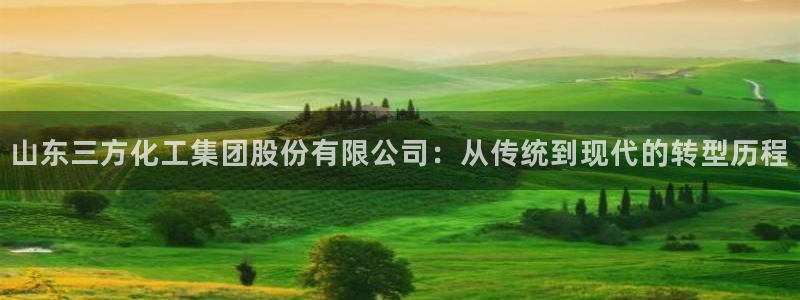 球盟会和中欧：山东三方化工集团股份有限公司：从传统到现代的转