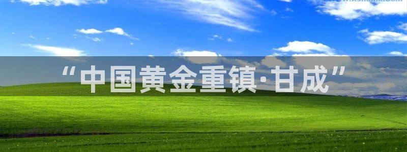 球盟会黑台
