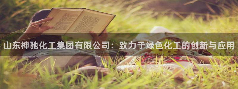 球盟会官方：山东神驰化工集团有限公司：致力于绿色化工的创新与