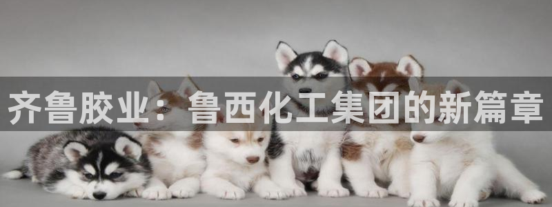 球盟会电子好黑：齐鲁胶业：鲁西化工集团的新篇章