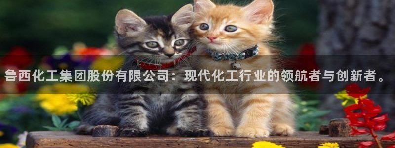 球盟会可以提现么是真的吗：鲁西化工集团股份有限公司：现代化工