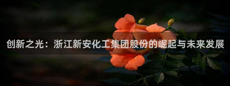 球盟会游戏几点玩合适：创新之光：浙江新安化工集团股份的崛起与