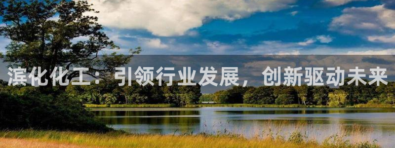 球盟会在线网站：滨化化工：引领行业发展，创新驱动未来